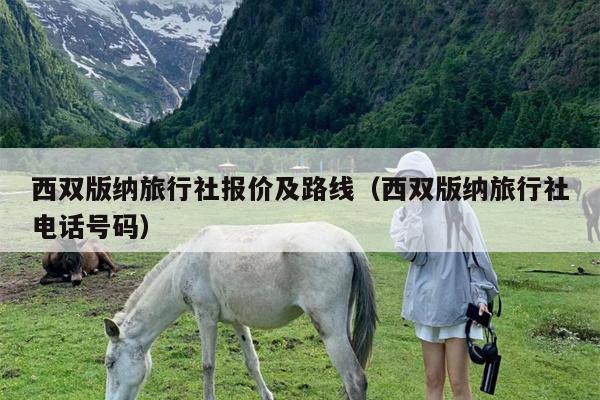 西双版纳旅行社报价及路线（西双版纳旅行社电话号码）