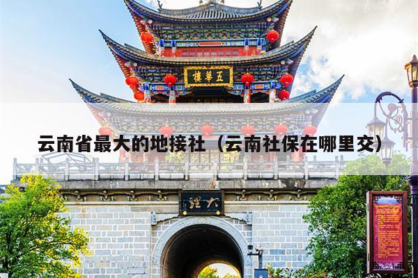 云南省最大的地接社（云南社保在哪里交）