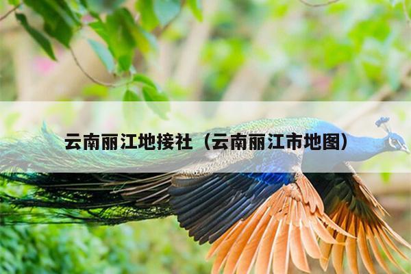 云南丽江地接社（云南丽江市地图）