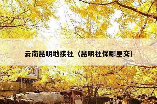 云南昆明地接社（昆明社保哪里交）