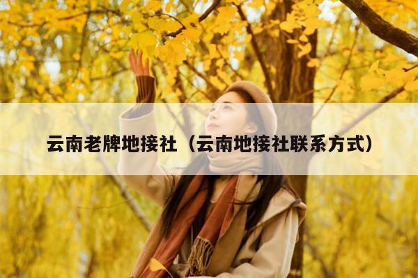 云南老牌地接社（云南地接社联系方式）