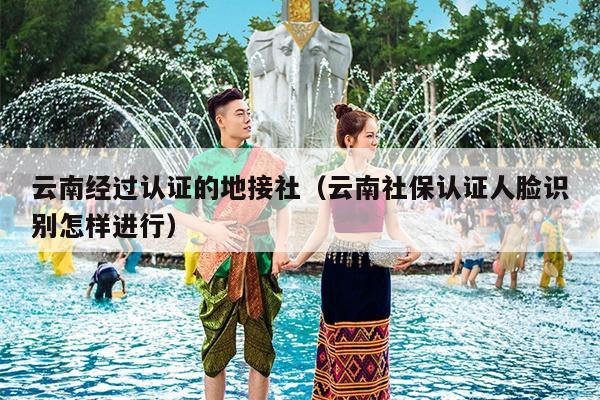 云南经过认证的地接社（云南社保认证人脸识别怎样进行）