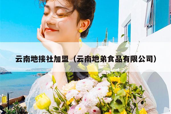 云南地接社加盟（云南地弟食品有限公司）
