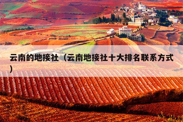 云南的地接社（云南地接社十大排名联系方式）