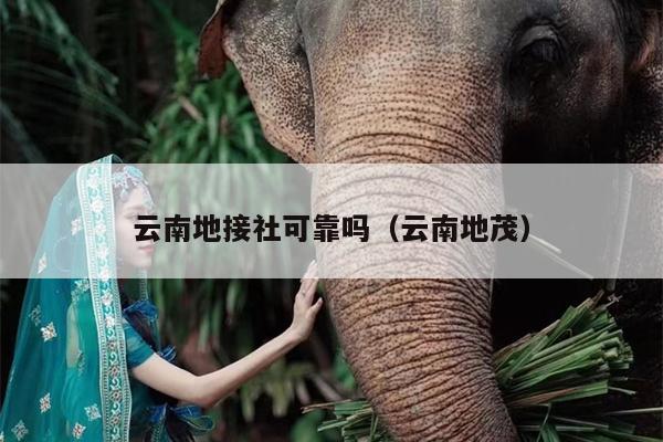 云南地接社可靠吗（云南地茂）