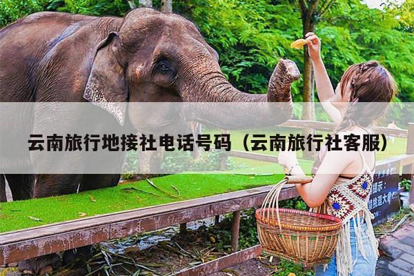 云南旅行地接社电话号码（云南旅行社客服）
