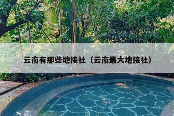 云南有那些地接社（云南最大地接社）