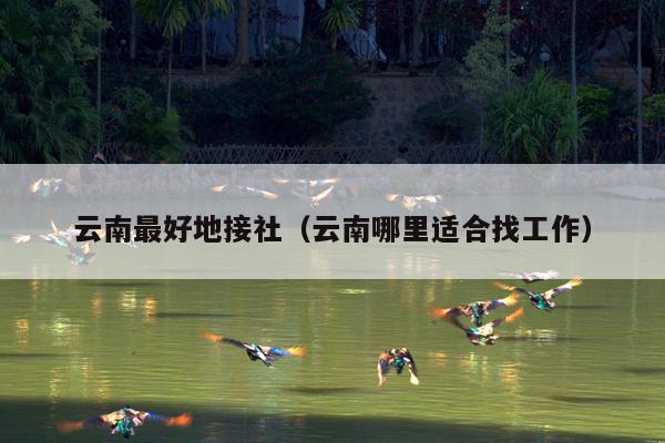 云南最好地接社（云南哪里适合找工作）