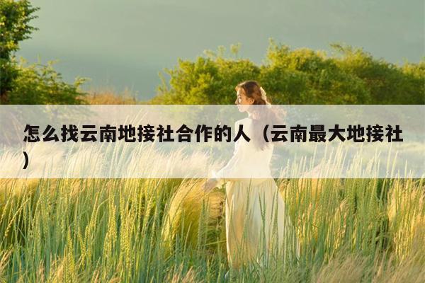 怎么找云南地接社合作的人（云南最大地接社）