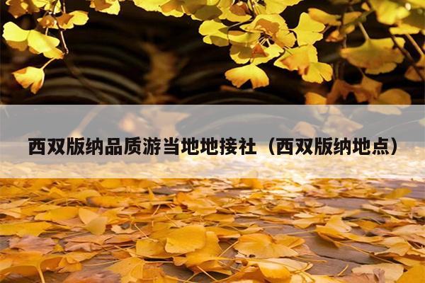 西双版纳品质游当地地接社（西双版纳地点）