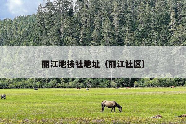 丽江地接社地址（丽江社区）
