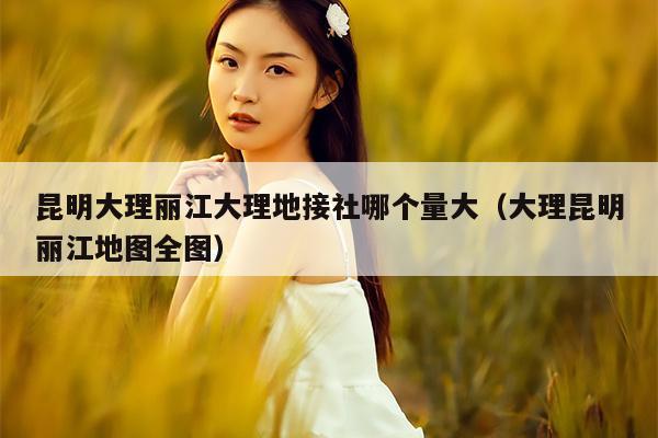 昆明大理丽江大理地接社哪个量大（大理昆明丽江地图全图）