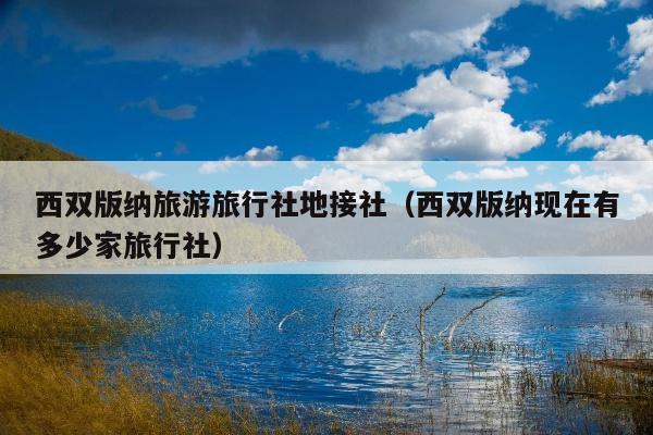 西双版纳旅游旅行社地接社（西双版纳现在有多少家旅行社）