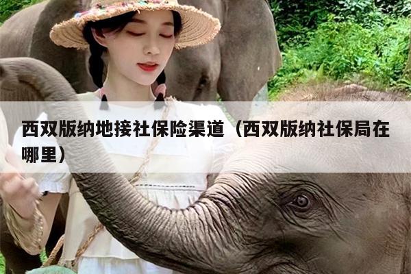 西双版纳地接社保险渠道（西双版纳社保局在哪里）