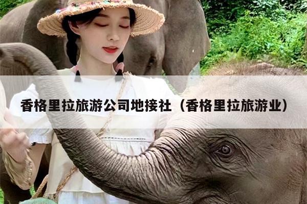 香格里拉旅游公司地接社（香格里拉旅游业）