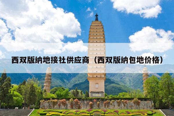 西双版纳地接社供应商（西双版纳包地价格）