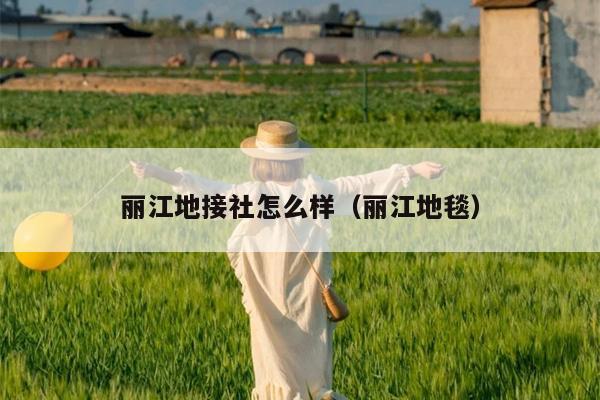 丽江地接社怎么样（丽江地毯）