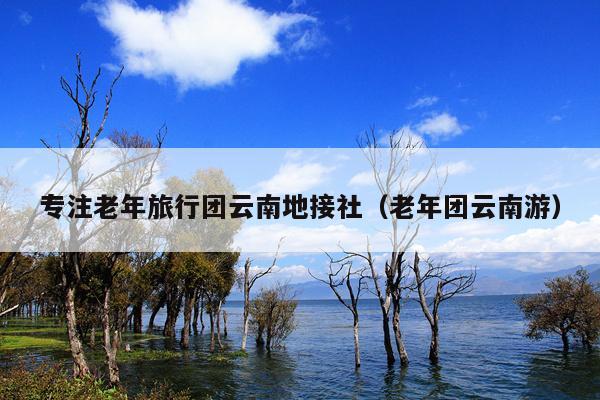 专注老年旅行团云南地接社（老年团云南游）