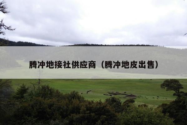 腾冲地接社供应商（腾冲地皮出售）
