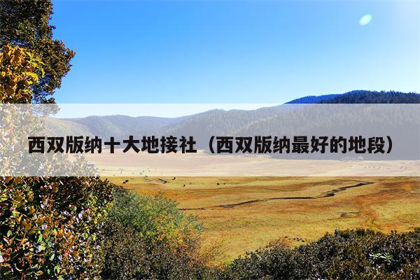 西双版纳十大地接社（西双版纳最好的地段）