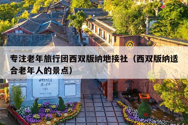 专注老年旅行团西双版纳地接社（西双版纳适合老年人的景点）