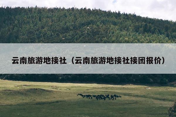 云南旅游地接社（云南旅游地接社接团报价）