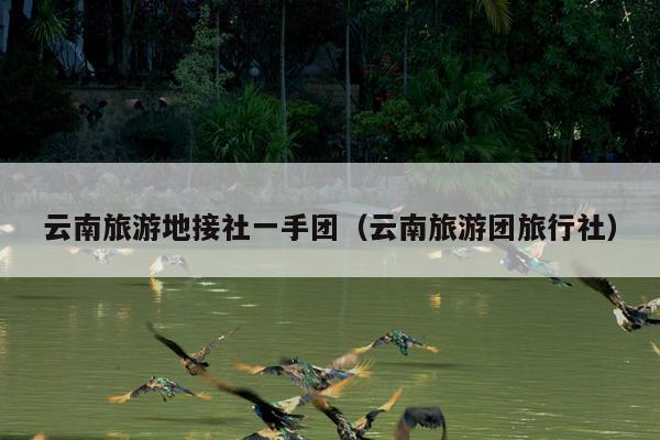 云南旅游地接社一手团（云南旅游团旅行社）