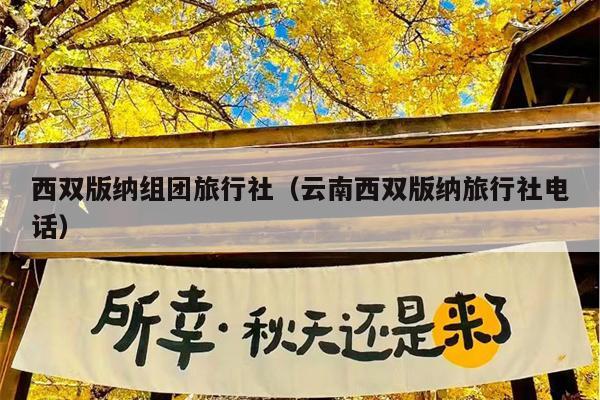 西双版纳组团旅行社（云南西双版纳旅行社电话）