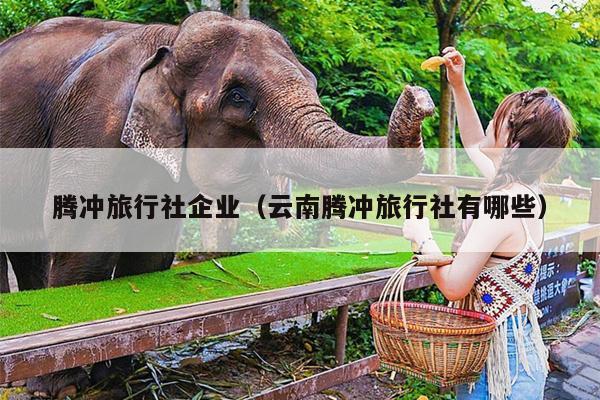 腾冲旅行社企业（云南腾冲旅行社有哪些）