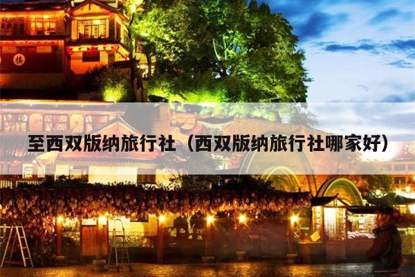 至西双版纳旅行社（西双版纳旅行社哪家好）