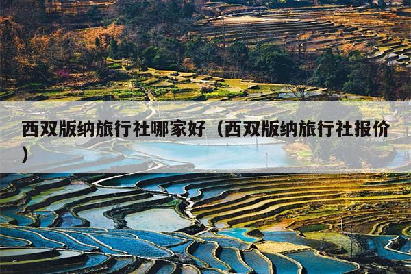 西双版纳旅行社哪家好（西双版纳旅行社报价）