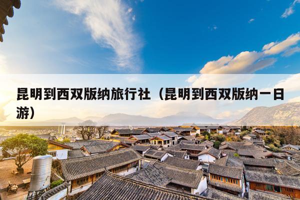 昆明到西双版纳旅行社（昆明到西双版纳一日游）