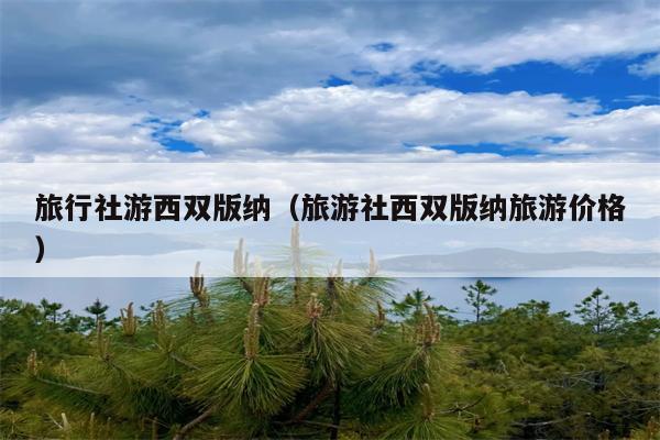 旅行社游西双版纳（旅游社西双版纳旅游价格）