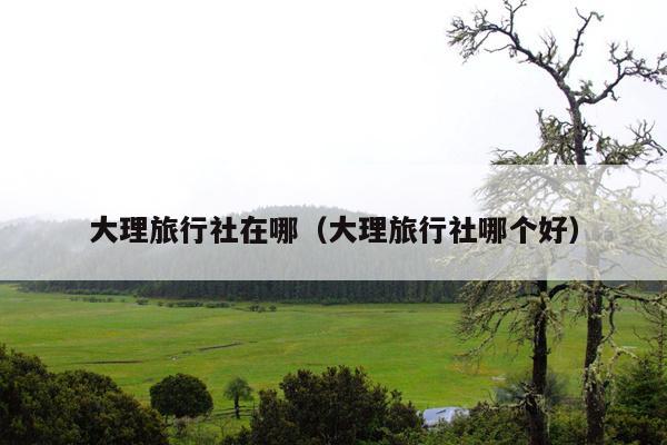 大理旅行社在哪（大理旅行社哪个好）