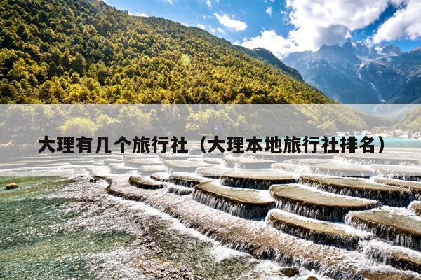 大理有几个旅行社（大理本地旅行社排名）